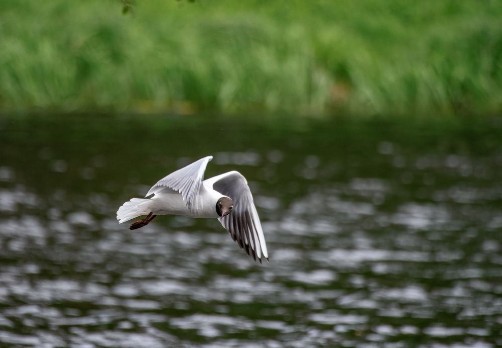 Photograph by Виктор Зайцев
