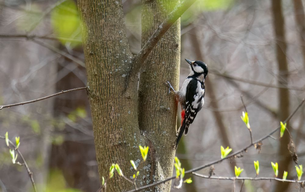 Photograph by Виктор Зайцев