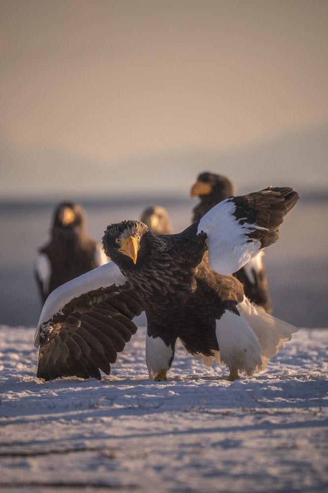 Photograph by Eduardo Fuster Salamero