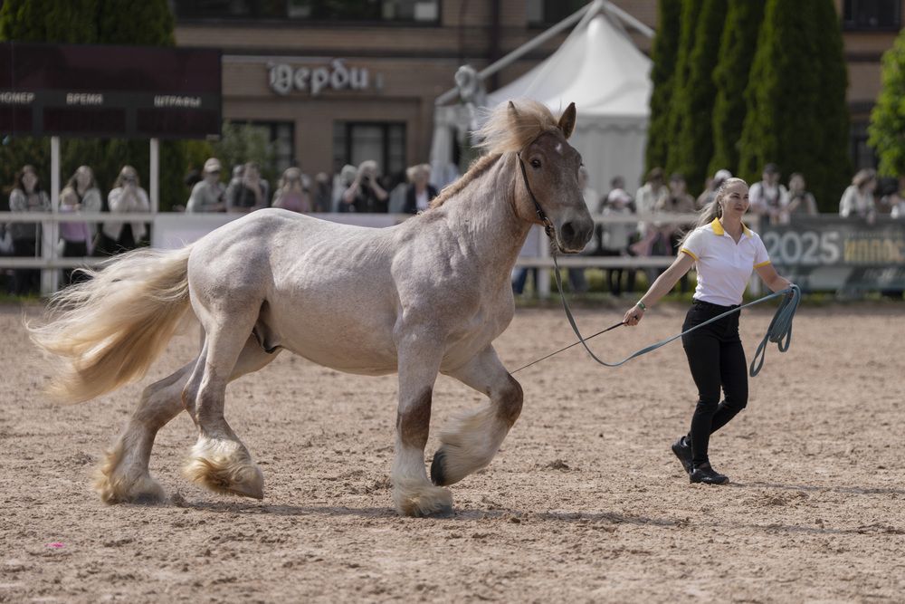 Photograph by Дейнекина Галина