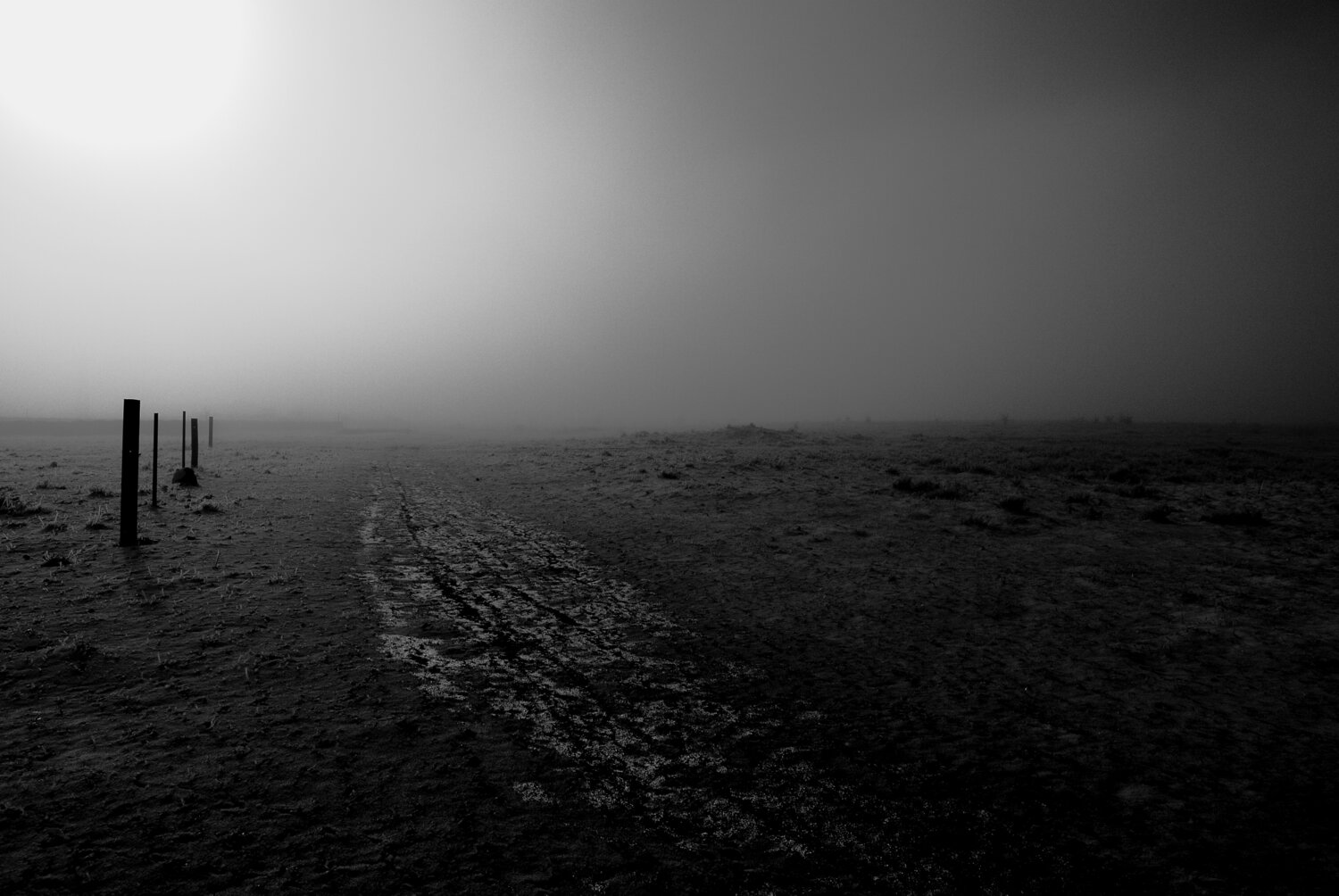 Photo #13216695