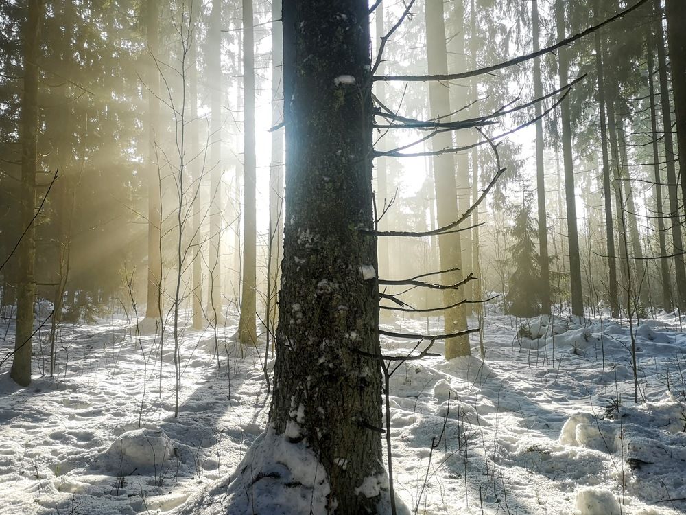 Фотография автора Александр Айзенштадт