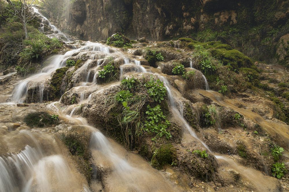 Фотография автора SABA Etehad Ketabchi