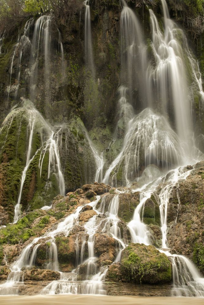 Фотография автора SABA Etehad Ketabchi