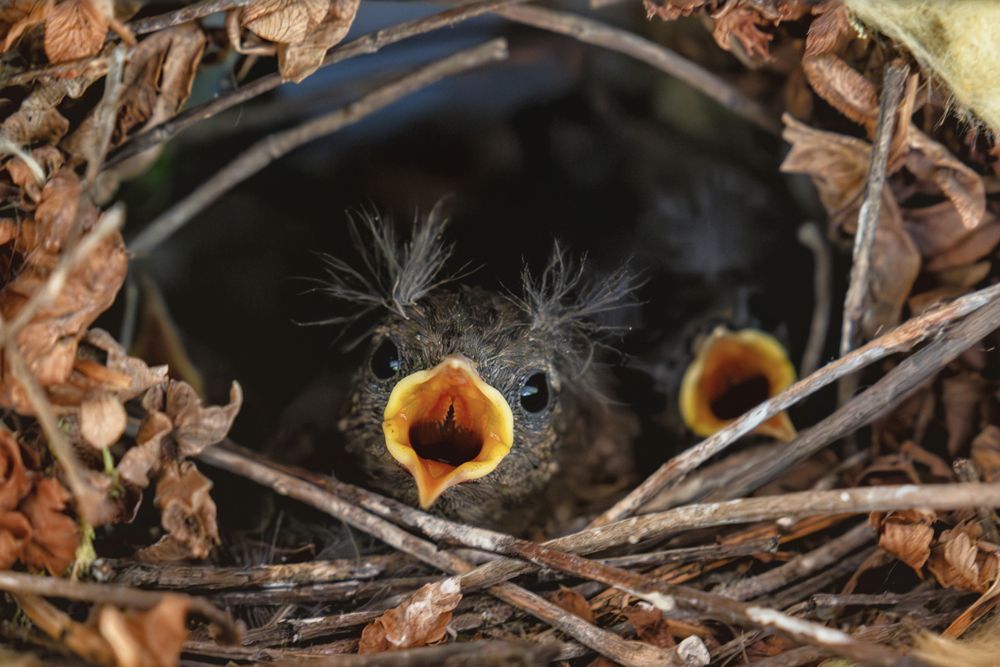 Photograph by Александр Колляков