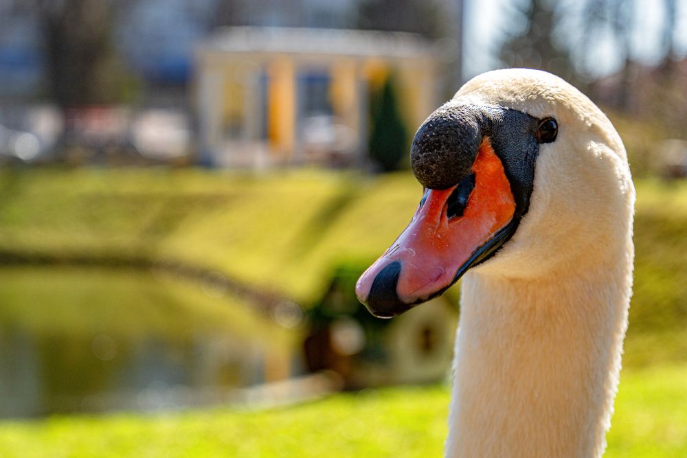 Photograph by Александр Колляков