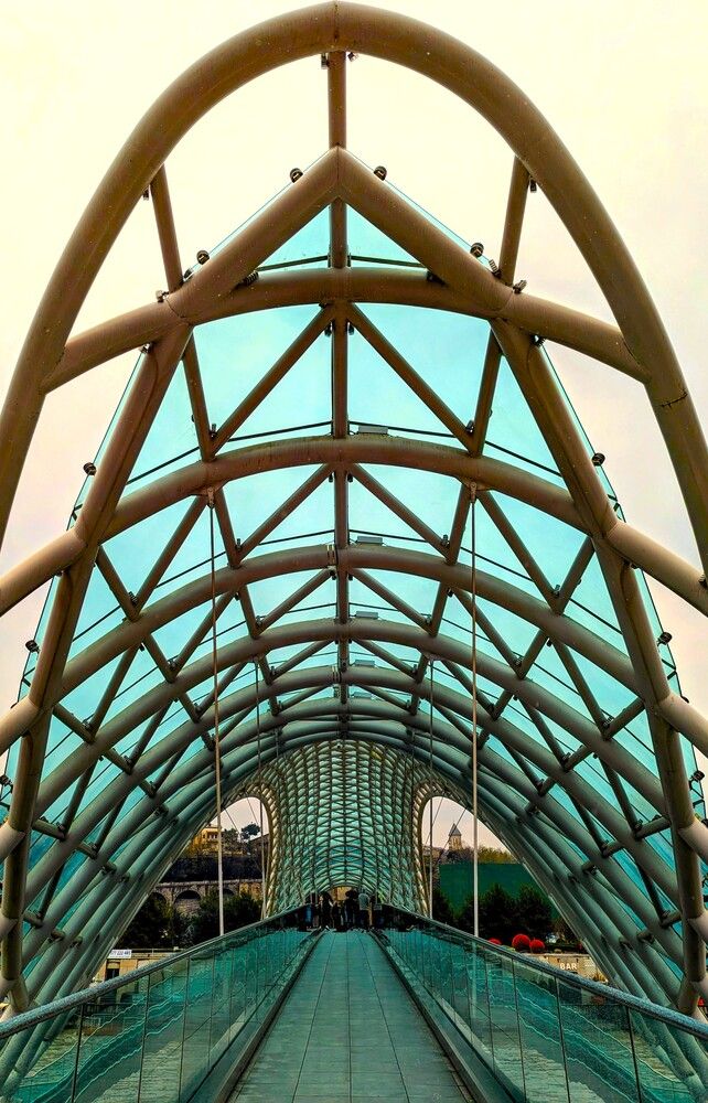 Photograph by Елизавета