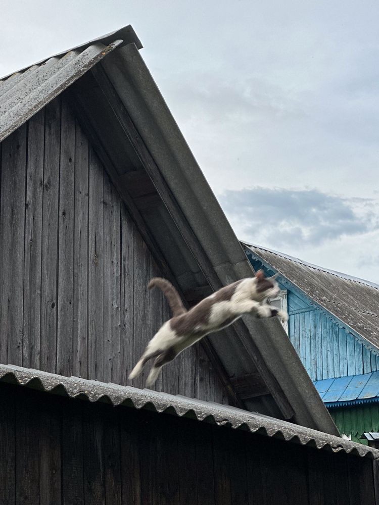 Photograph by Олеся Бронзова