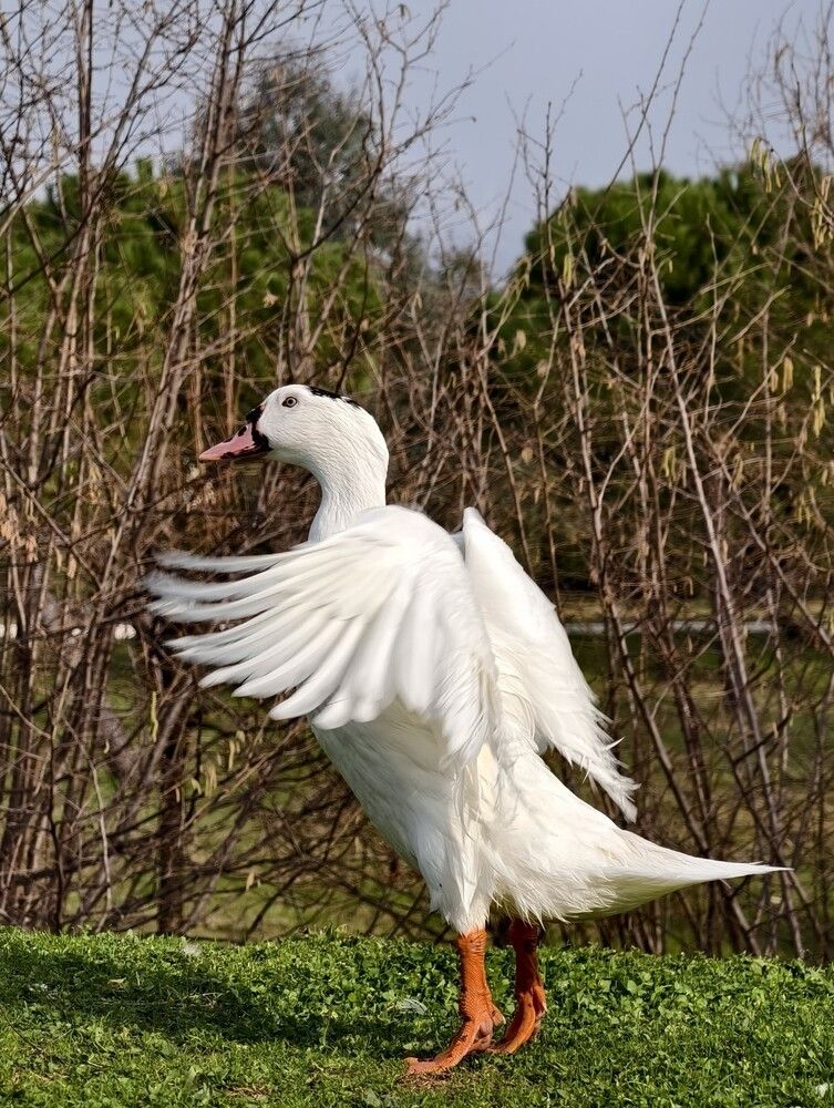 Photograph by Галина Бессуднова