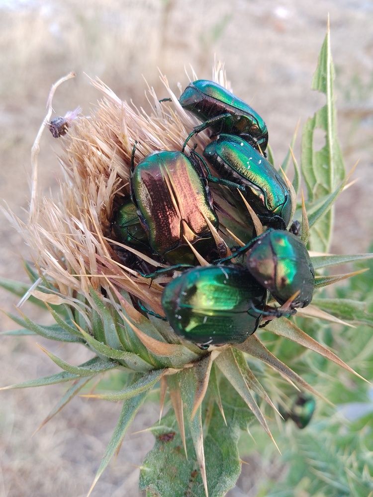 Photograph by Liliya Slavcheva