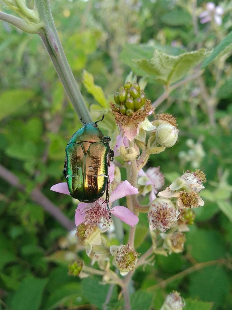 Photograph by Liliya Slavcheva