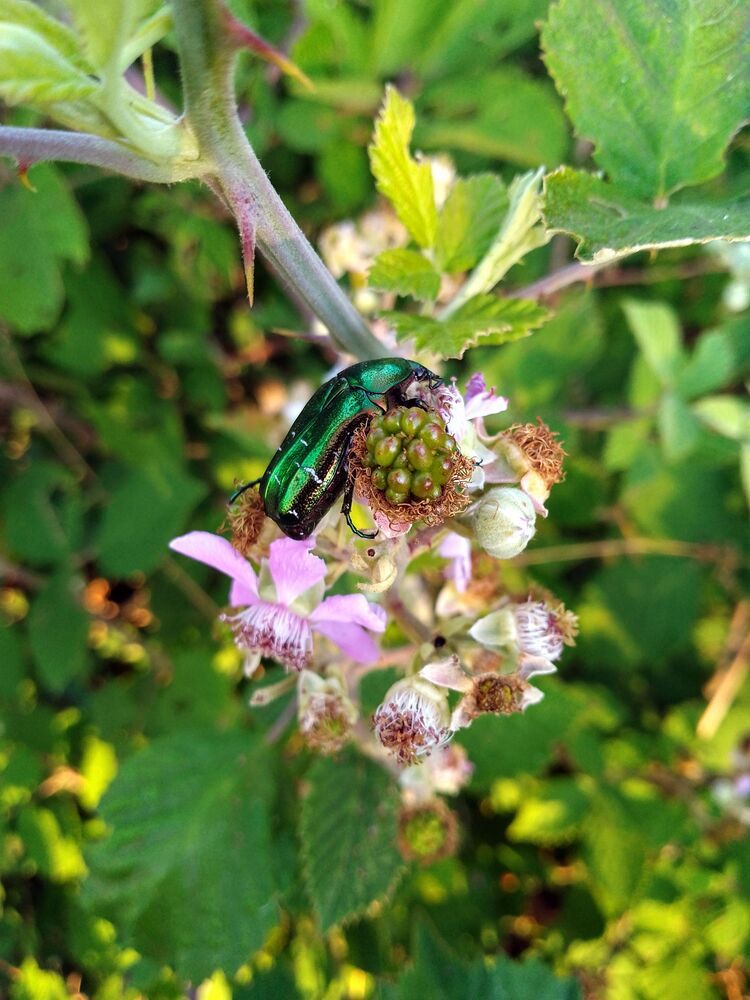 Photograph by Liliya Slavcheva