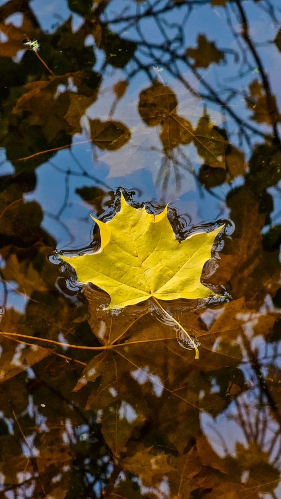 Photograph by Степан Макрушин