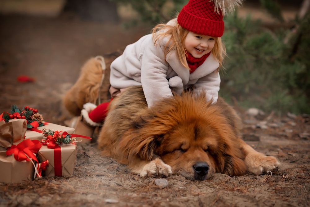 Photograph by Валентина Ермилова