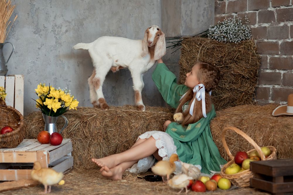 Photograph by Валентина Ермилова