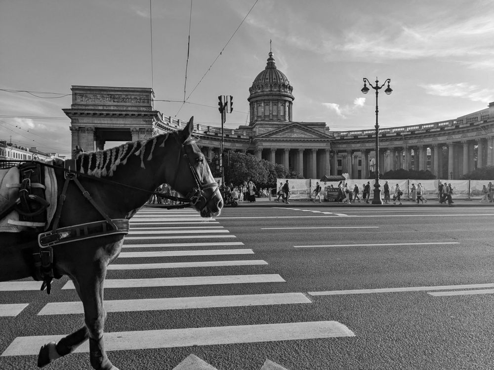 Фотография #13217014