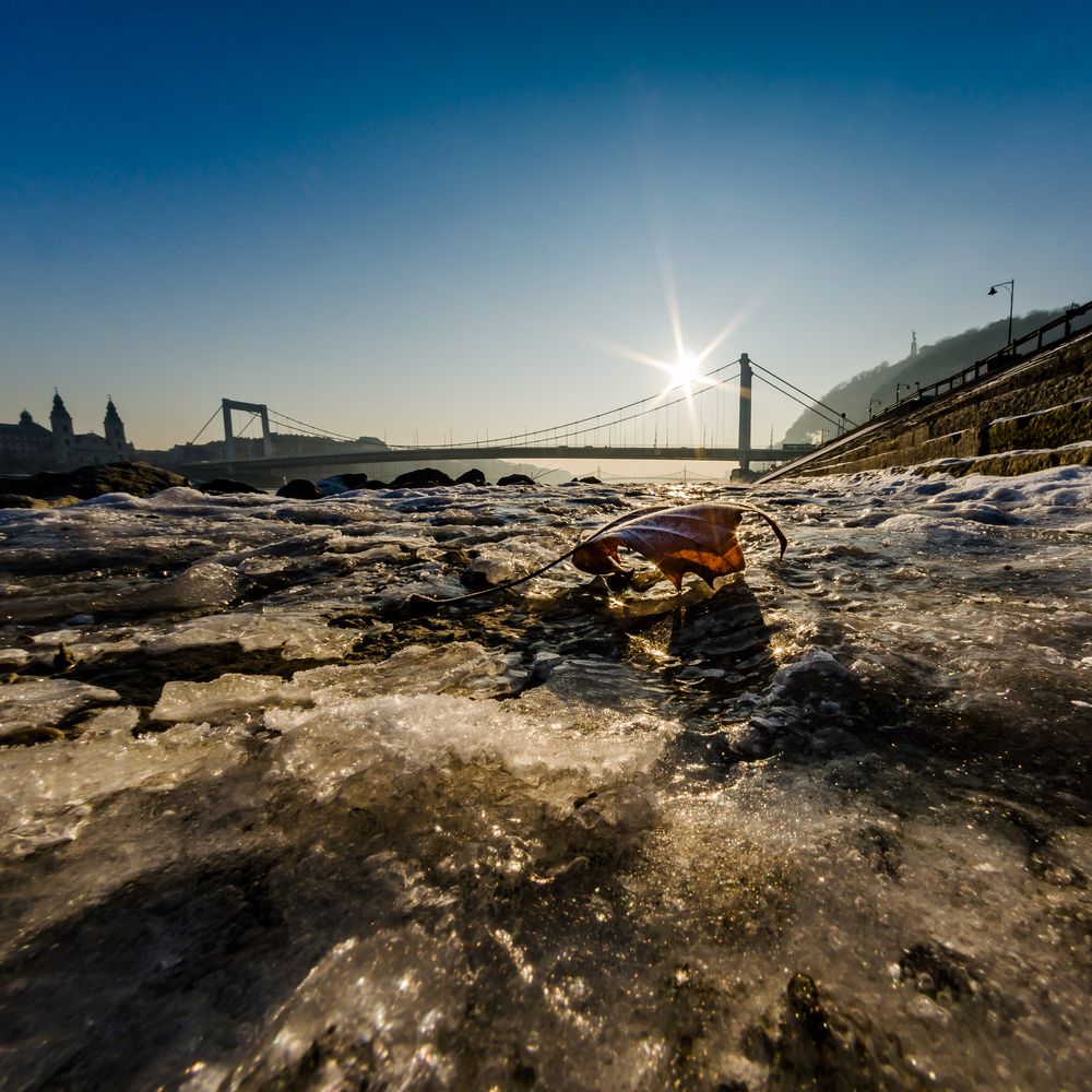 Photograph by István Lehotzky