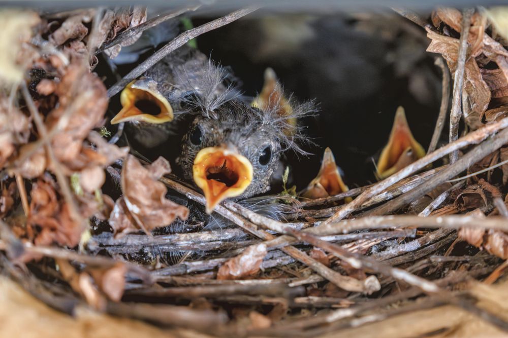 Photograph by Александр Колляков