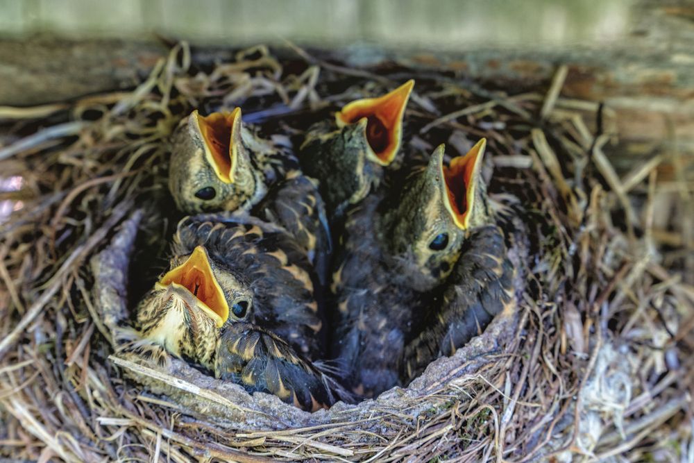 Photograph by Александр Колляков