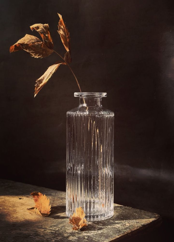 Photograph by Анна Якубинас