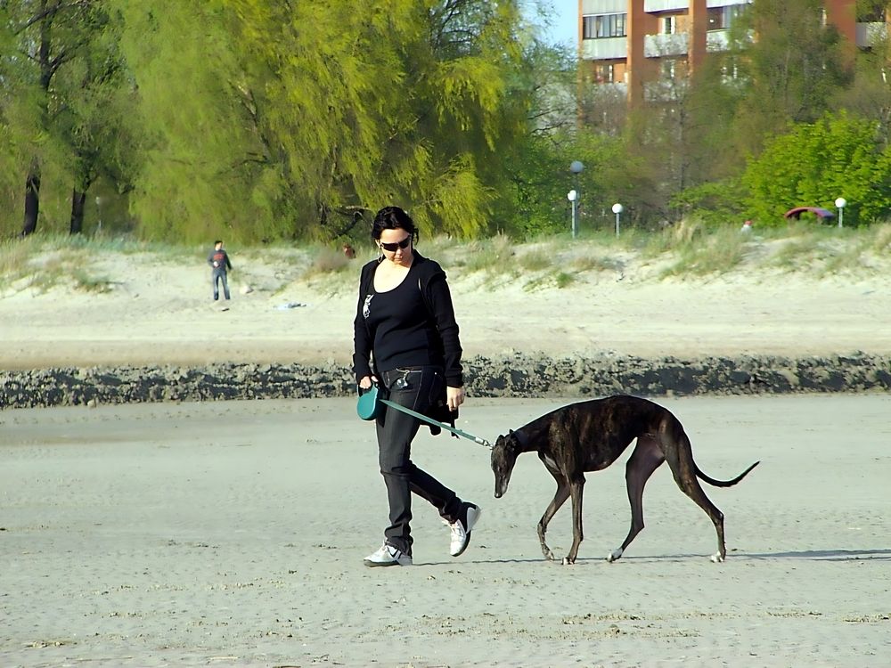 Photograph by valera0053