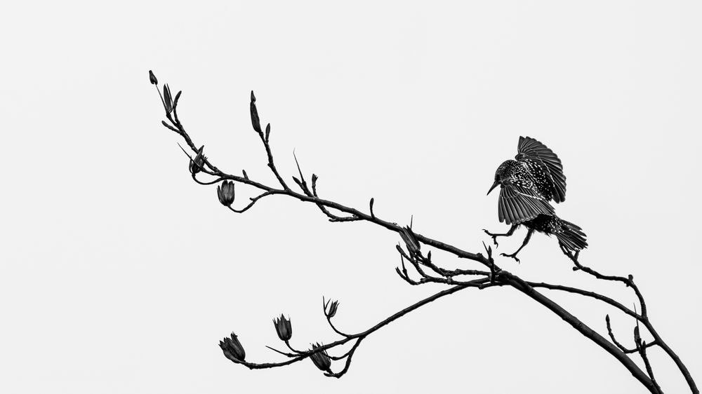 Photograph by Анастасия Богомолова