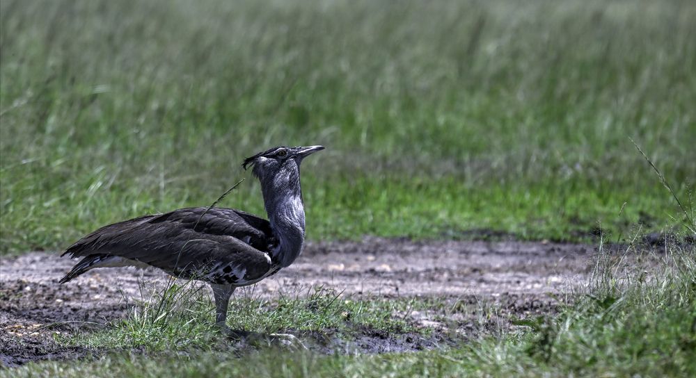 Photograph by Nuwair ALHajeri