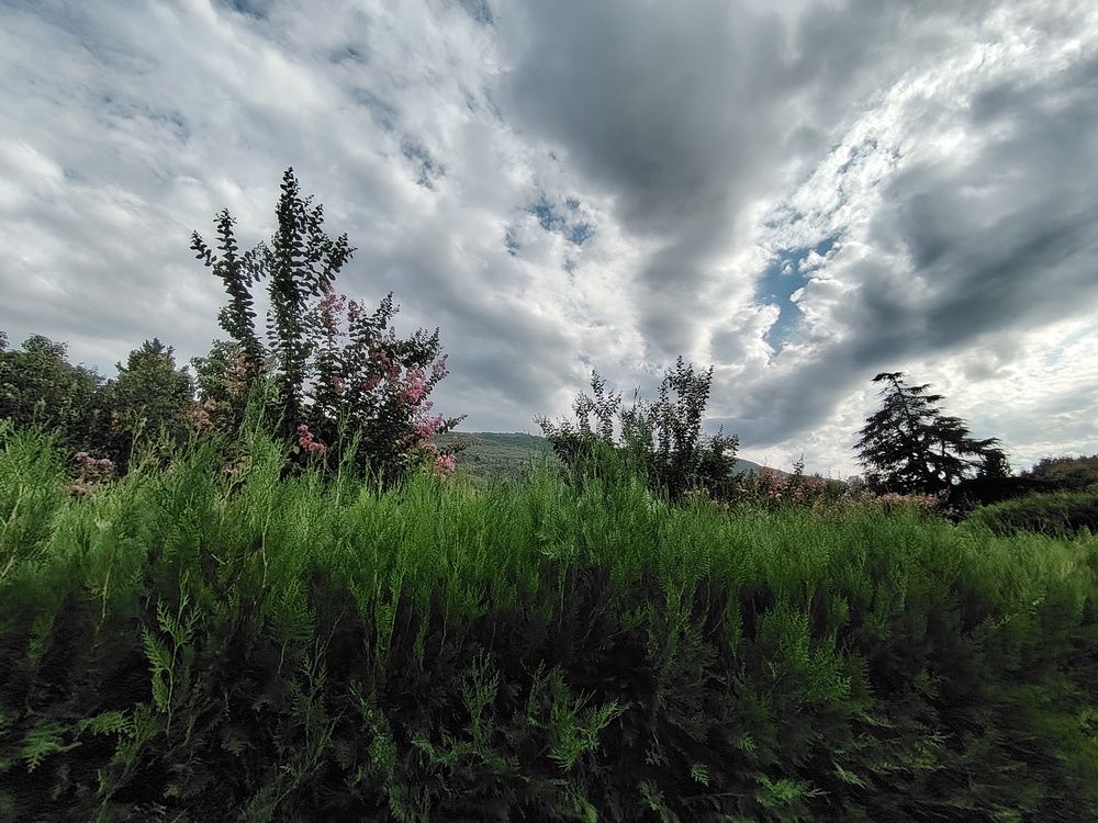 Photograph by Марианна Колесникова