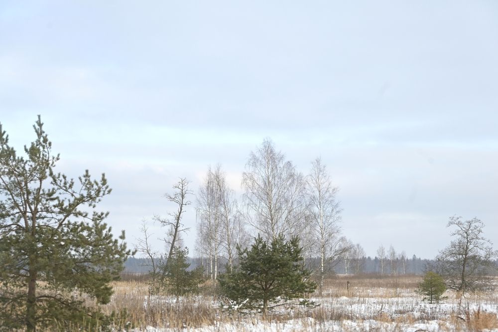 Photograph by Наташа Данилова