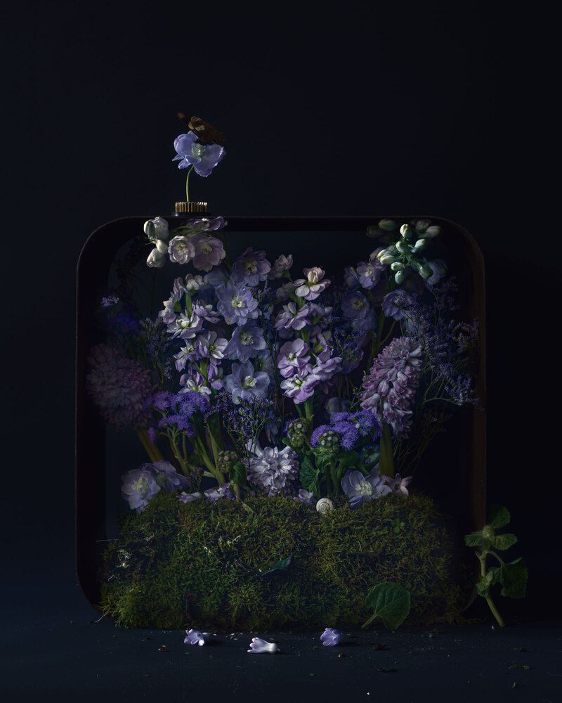 Small Blue Garden