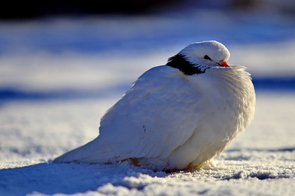 Photograph by Илья К