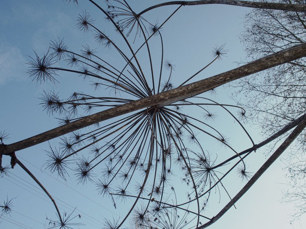 Фотография автора Сергей Виноградов