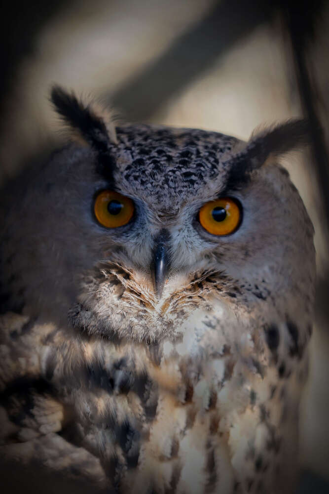 Photograph by Alireza seyd