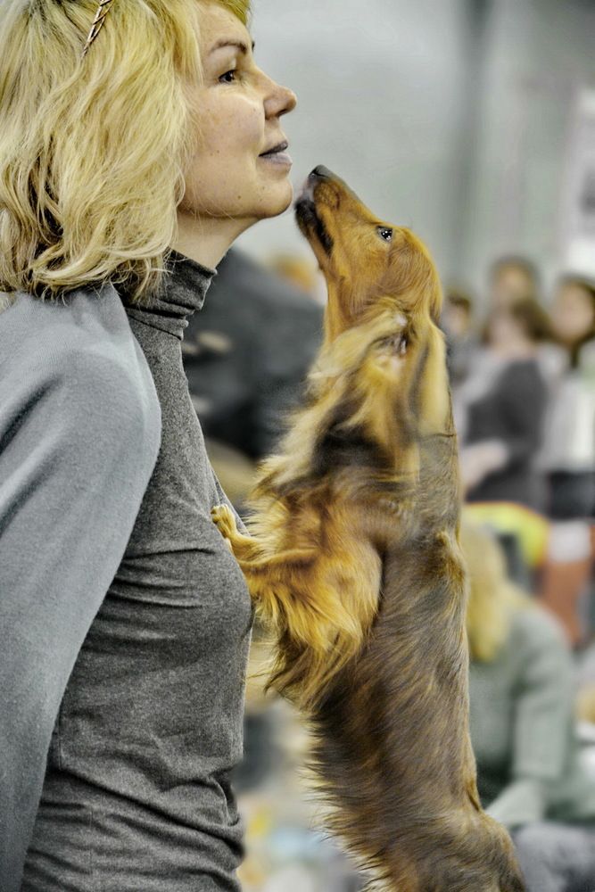 Photograph by Анастасия Смирнова