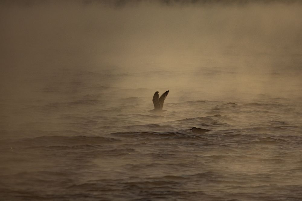 Photograph by Наталья Мершина