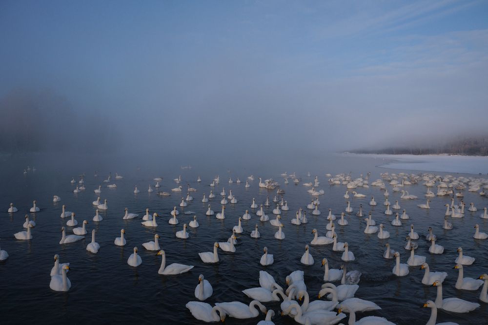 Photograph by Михаил Рогачев