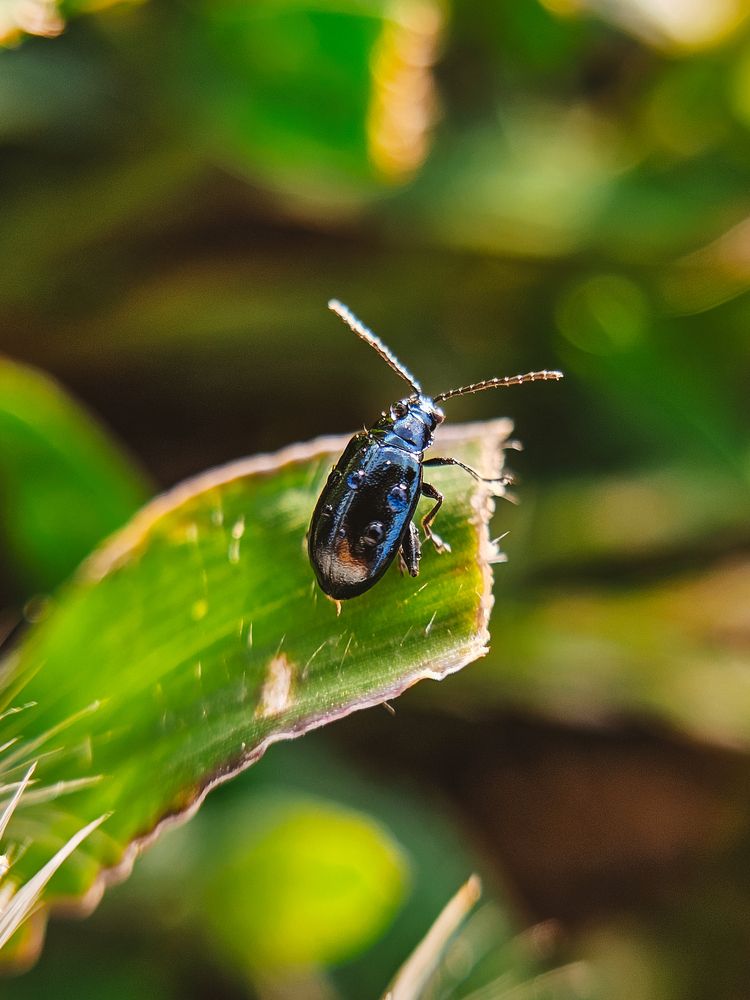 Photograph by Irina Chka