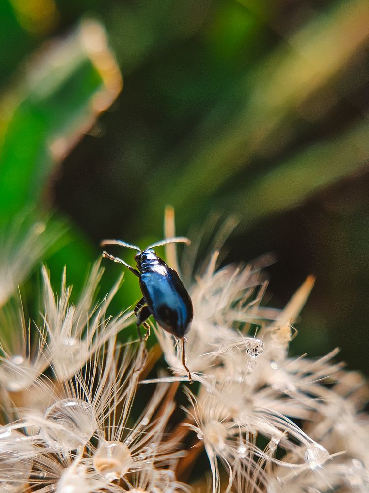 Photograph by Irina Chka