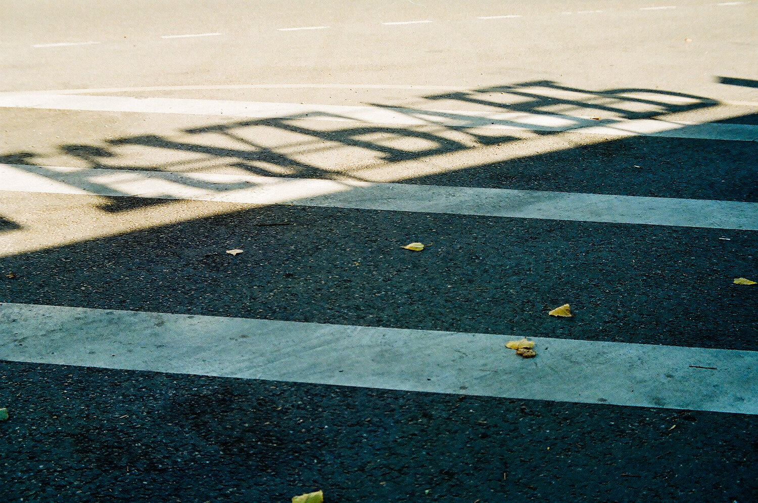 Photo #13217440