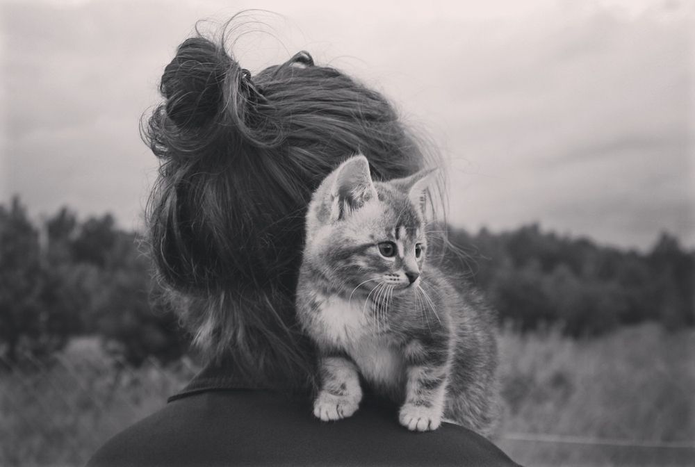 Photograph by Илья К