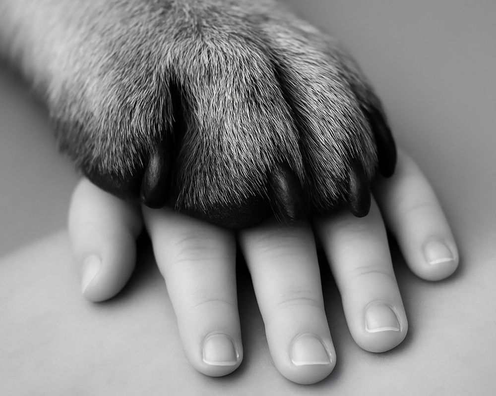 Photograph by Mònica Udina