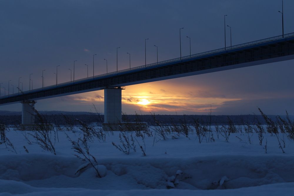 Photo #13217546