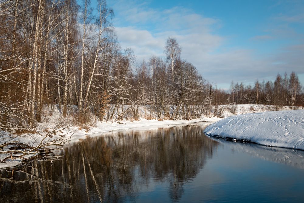 Фотография автора Светлана Верзилина