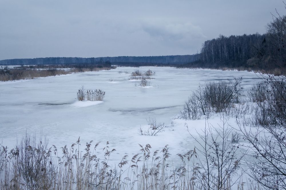 Фотография автора Светлана Верзилина