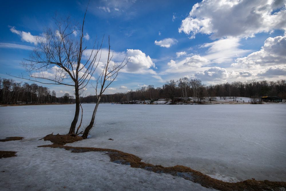 Фотография автора Светлана Верзилина