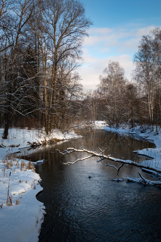 Фотография автора Светлана Верзилина
