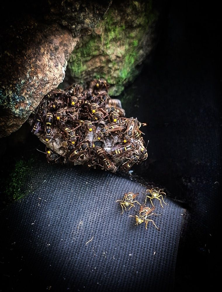 Photograph by Татьяна Кириллова