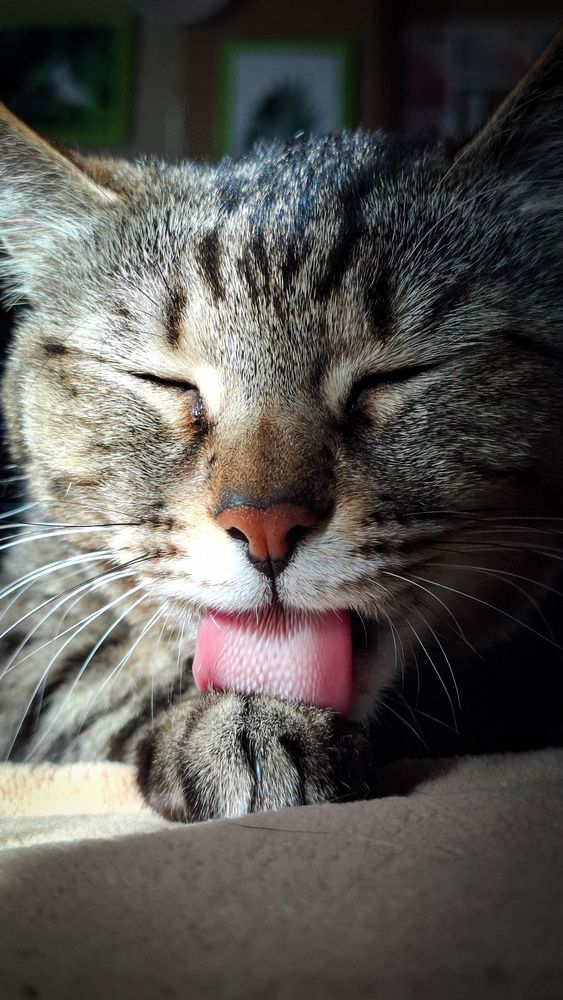 Photograph by Татьяна Кириллова