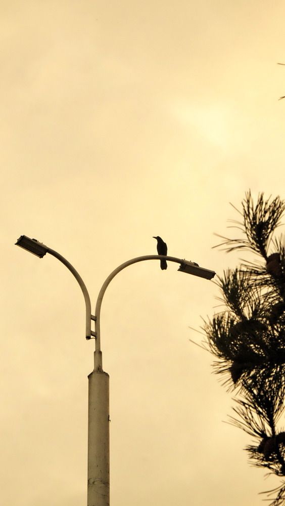 Photograph by Лина