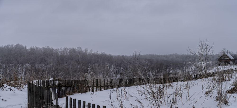 Photograph by Алексей Поликарпов